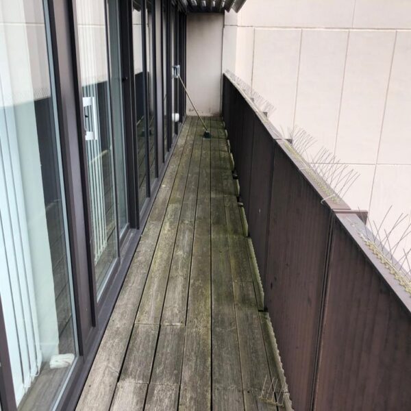 Metropolitan Apartment, Lee Circle, Leicester