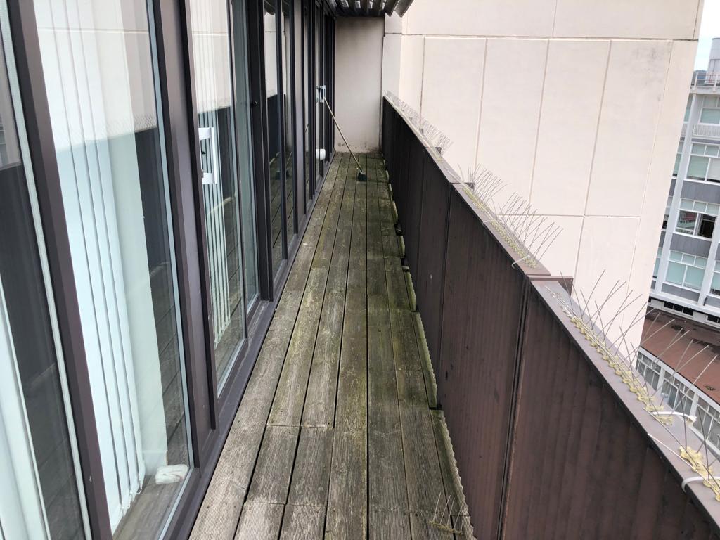 Metropolitan Apartment, Lee Circle, Leicester