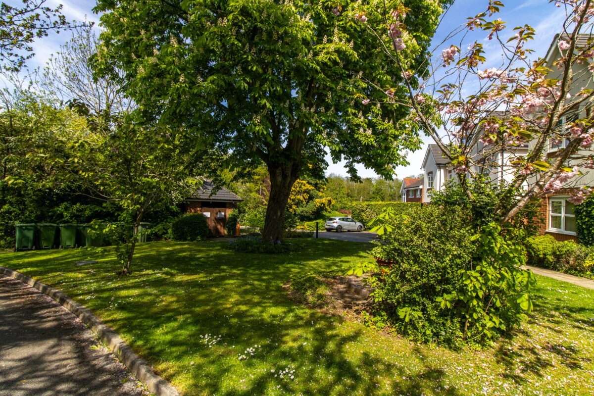 Mill View, Leicester