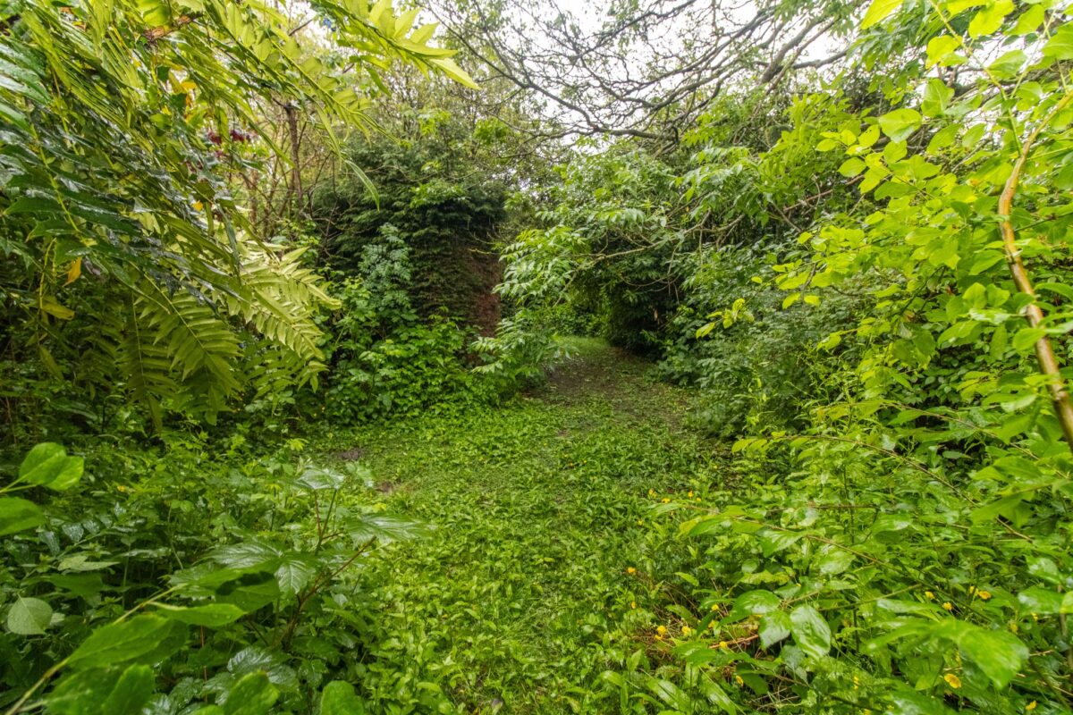 Glen Road, Leicester