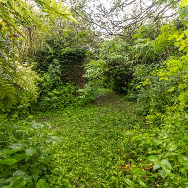 Glen Road, Leicester