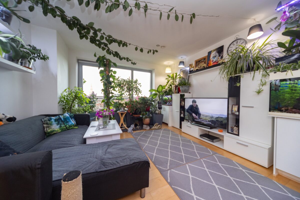 Navigation Street, Leicester