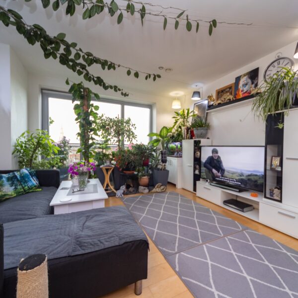 Navigation Street, Leicester