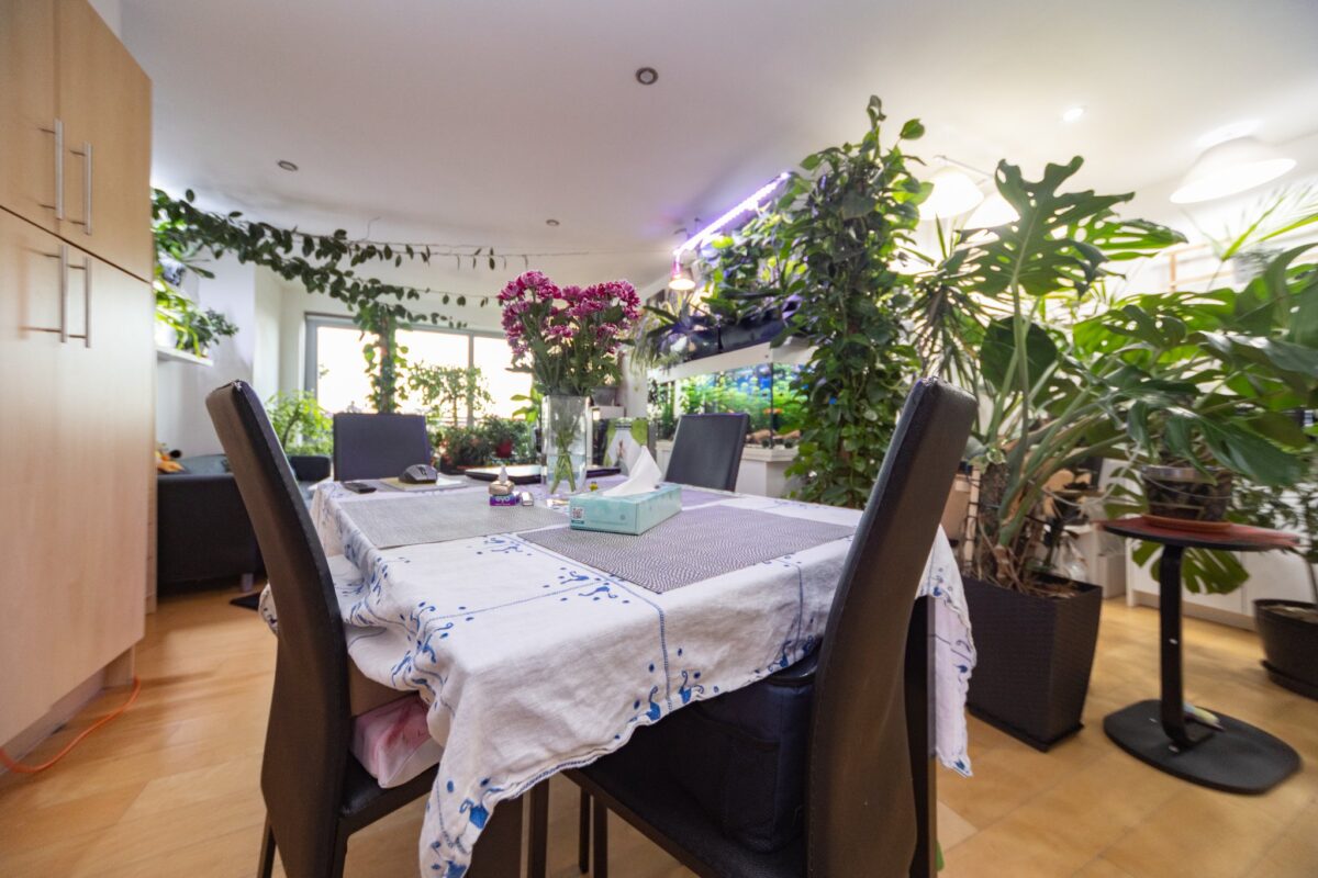 Navigation Street, Leicester