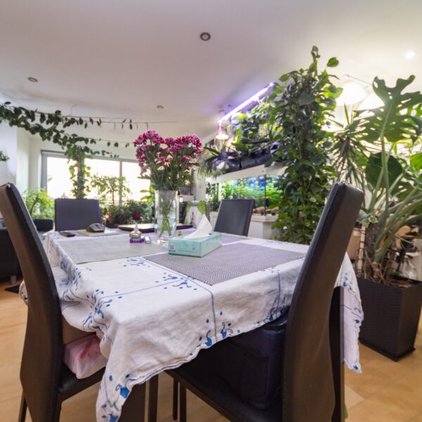 Navigation Street, Leicester