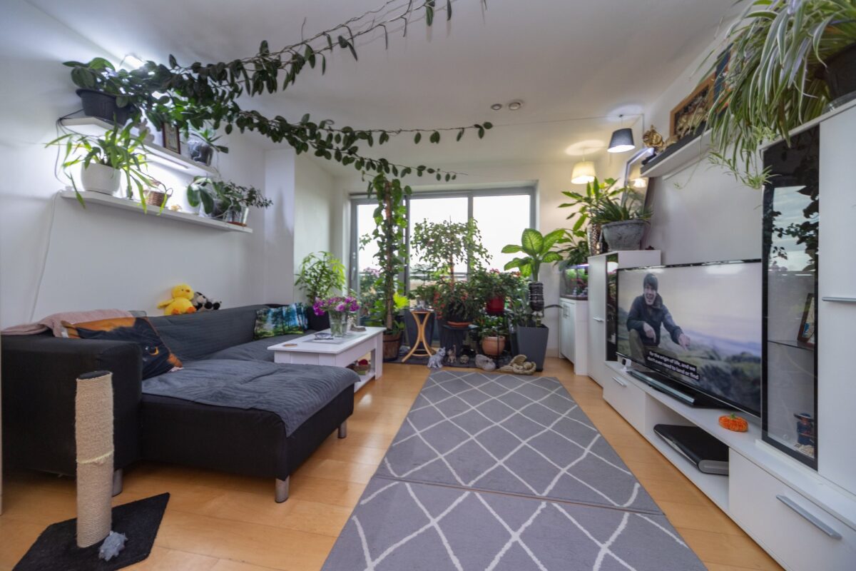 Navigation Street, Leicester