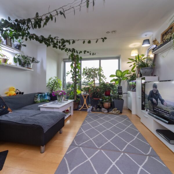 Navigation Street, Leicester