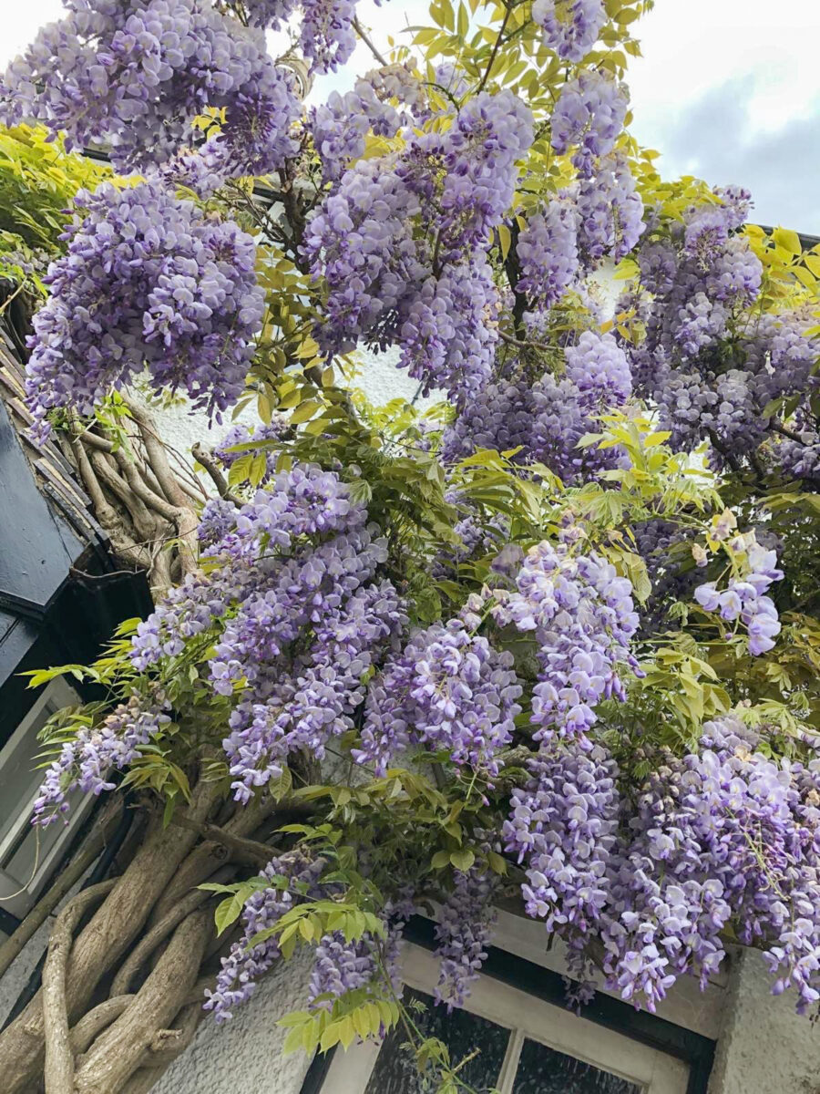 Ring Fence, Shepshed, LE12