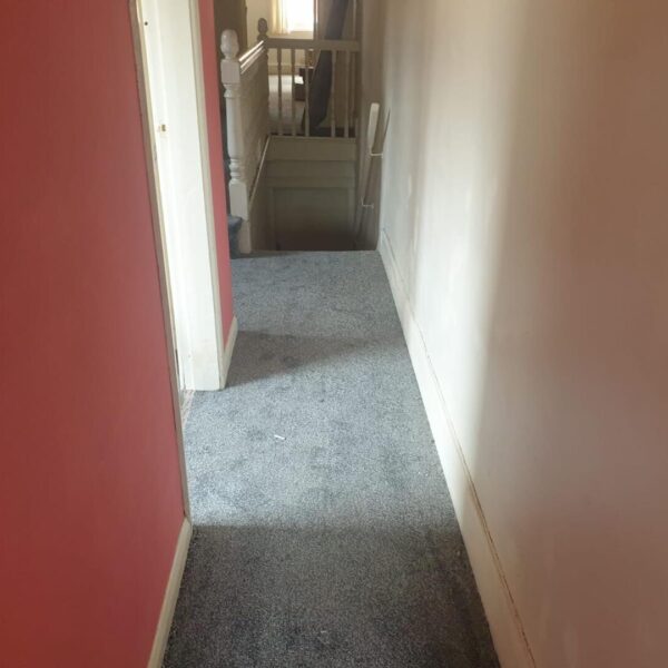 Walnut Street (FFF), Leicester