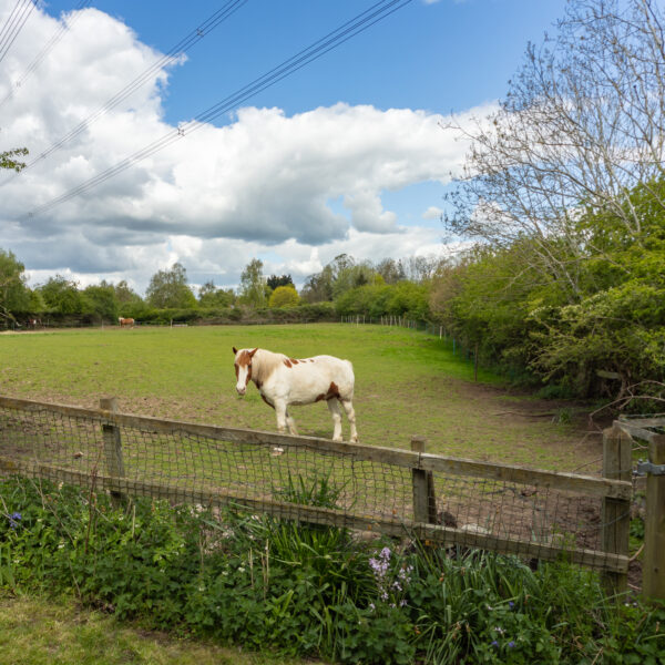 Station Road, Rothley, LE7