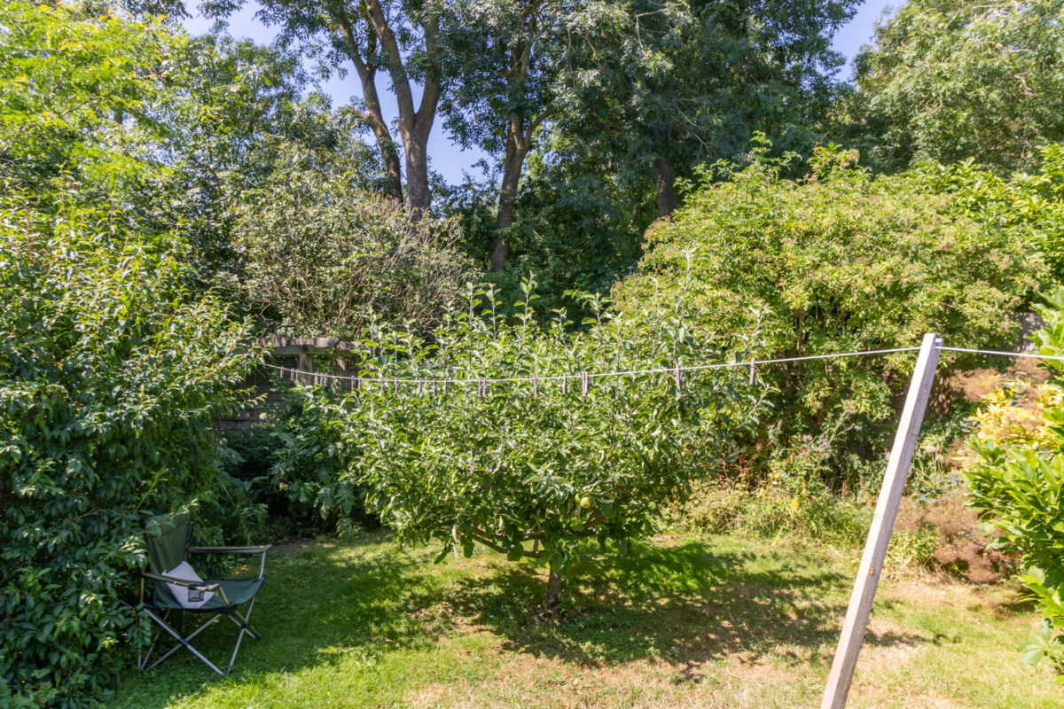 Johnson Rise, Stoney Stanton, LE9