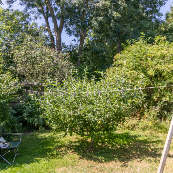 Johnson Rise, Stoney Stanton, LE9