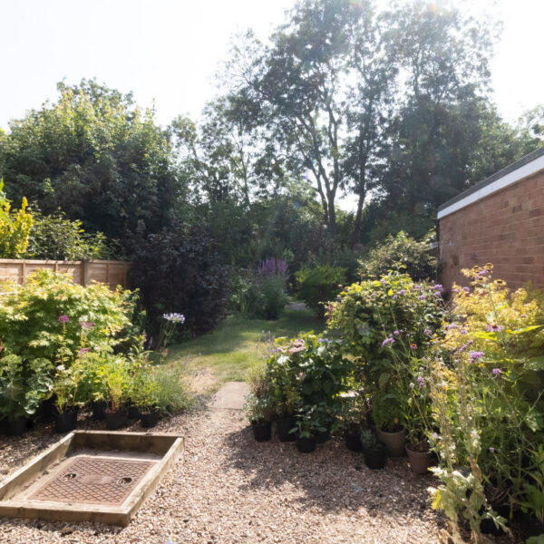 Johnson Rise, Stoney Stanton, LE9