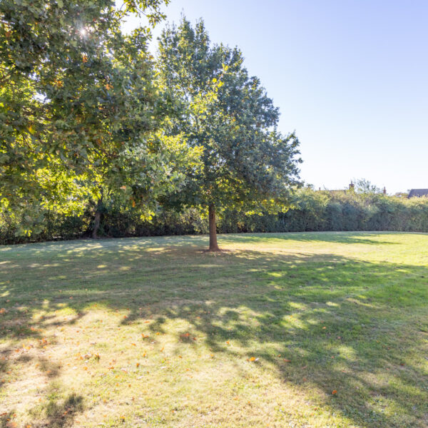 Ruskin Field, Anstey, LE7
